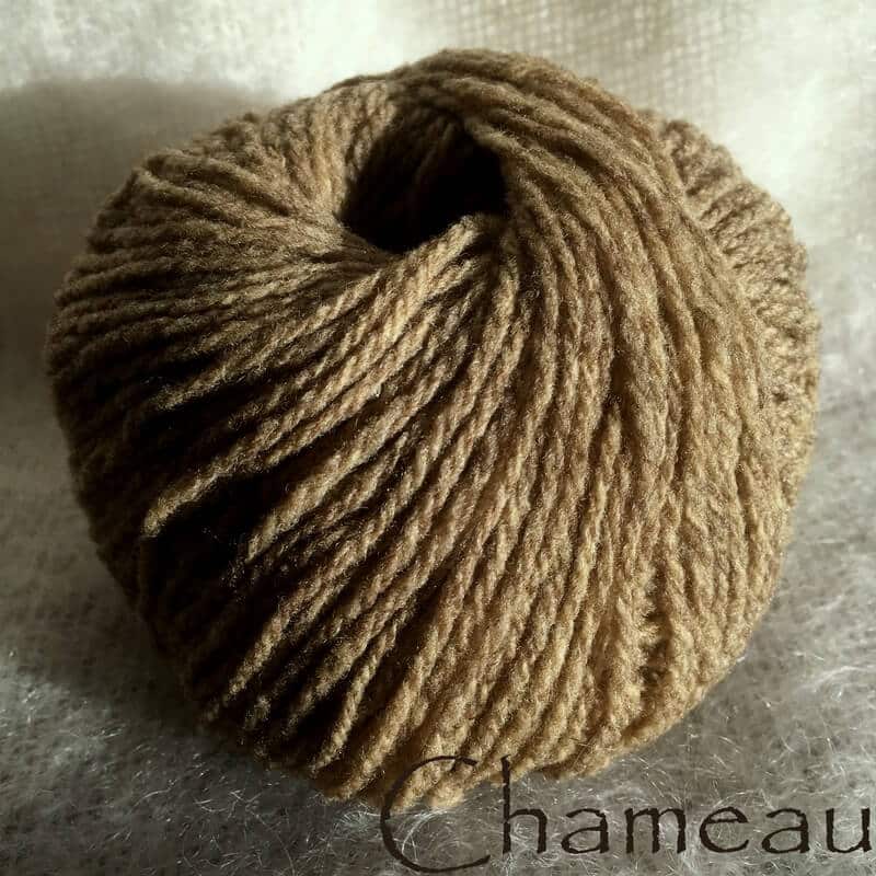 Chameau