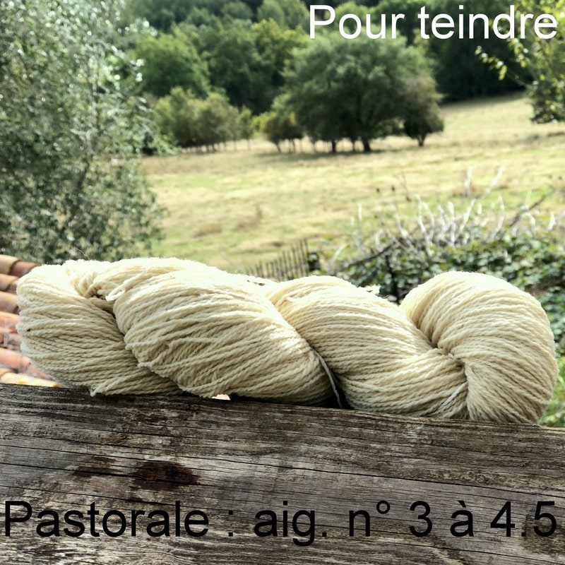 pelote-Laine Pastorale