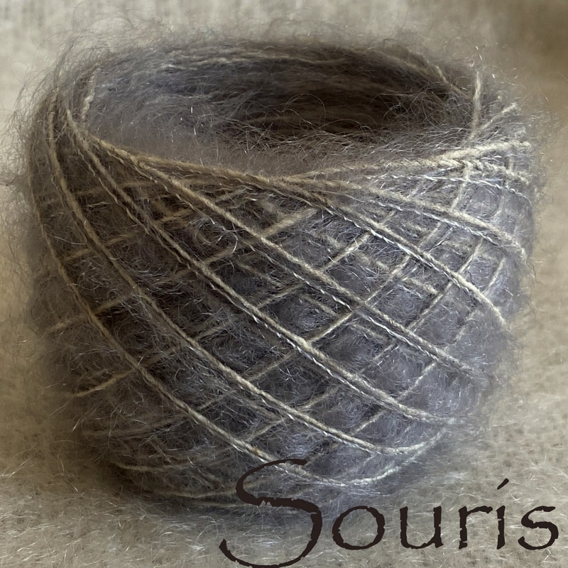 Souris