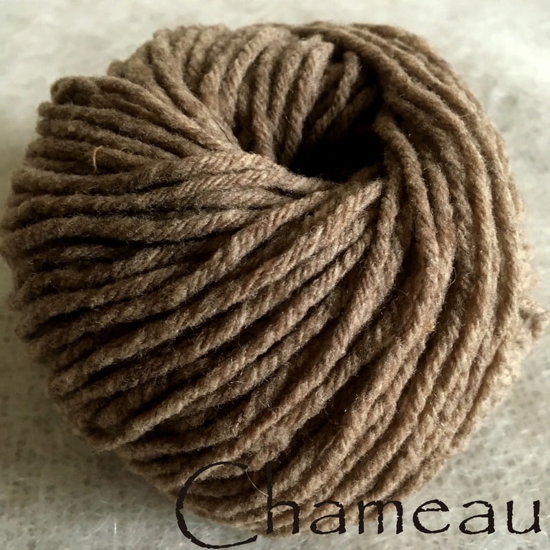 Chameau